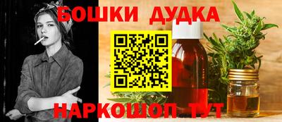 стаф Новодвинск