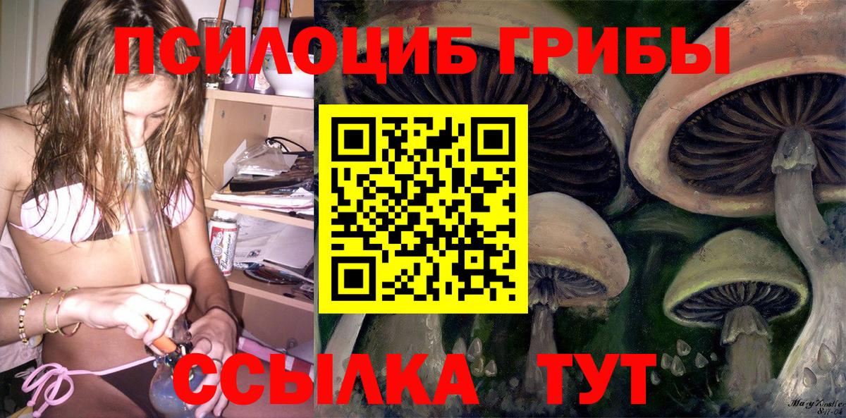 Галлюциногенные грибы MAGIC MUSHROOMS Урус-Мартан