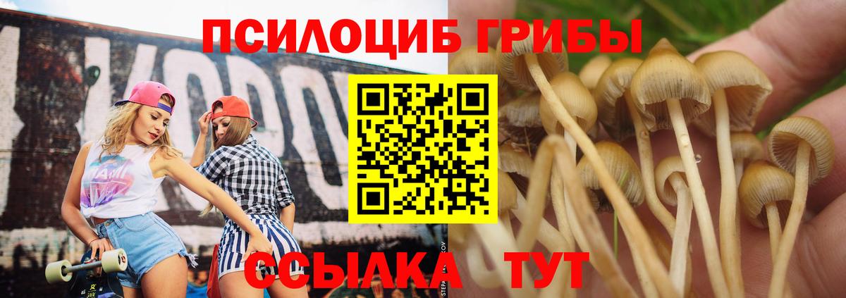 Урус-Мартан  Галлюциногенные грибы Psilocybine cubensis  Псилоцибиновые грибы мицелий  Вход с VPN 